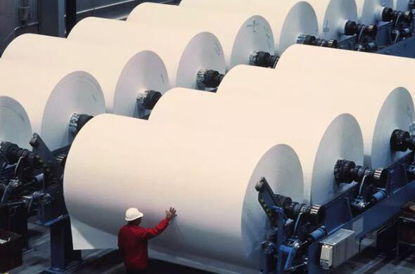 （圖：造紙展示圖）