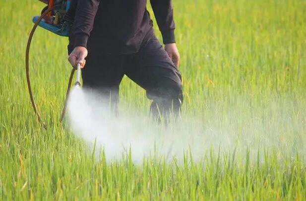 農(nóng)藥增稠劑